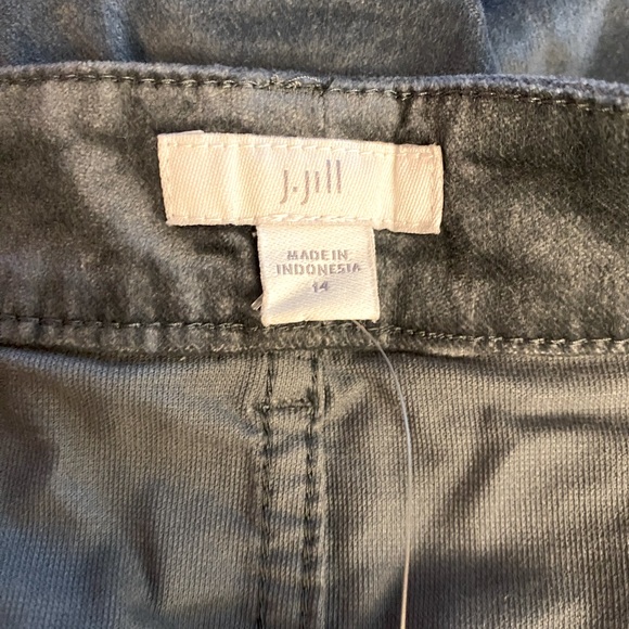 Women’s Size 14 (Brand: J~Jill) SmokeySage Green velveteen pants (orig: $109) - Picture 1 of 4